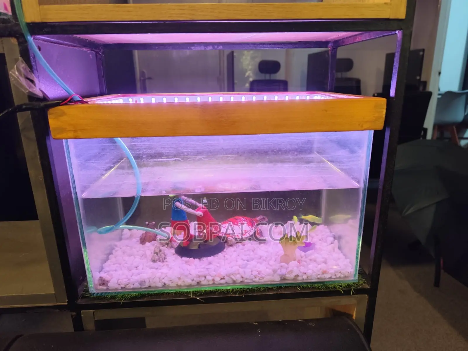 Decorative Glass Aquarium (With LED Light Accessories)