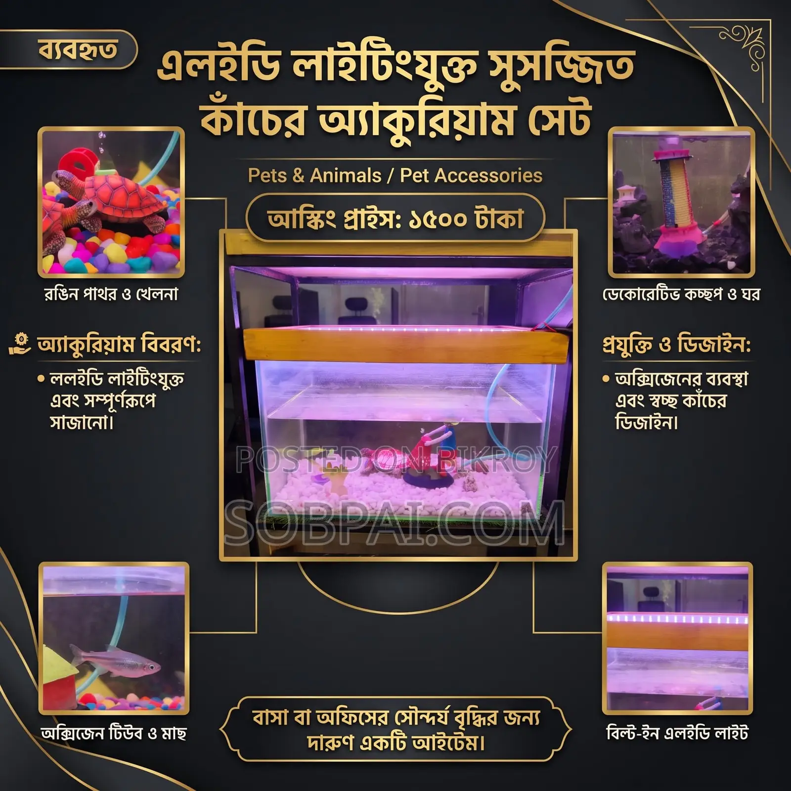 Decorative Glass Aquarium (With LED Light Accessories)