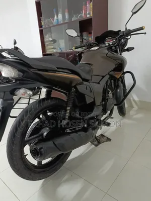 হিরো হাঙ্ক ২০১৮ ব্রাউন