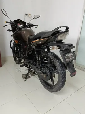 হিরো হাঙ্ক ২০১৮ ব্রাউন