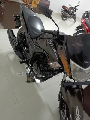 হিরো হাঙ্ক ২০১৮ ব্রাউন