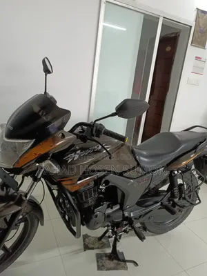 হিরো হাঙ্ক ২০১৮ ব্রাউন