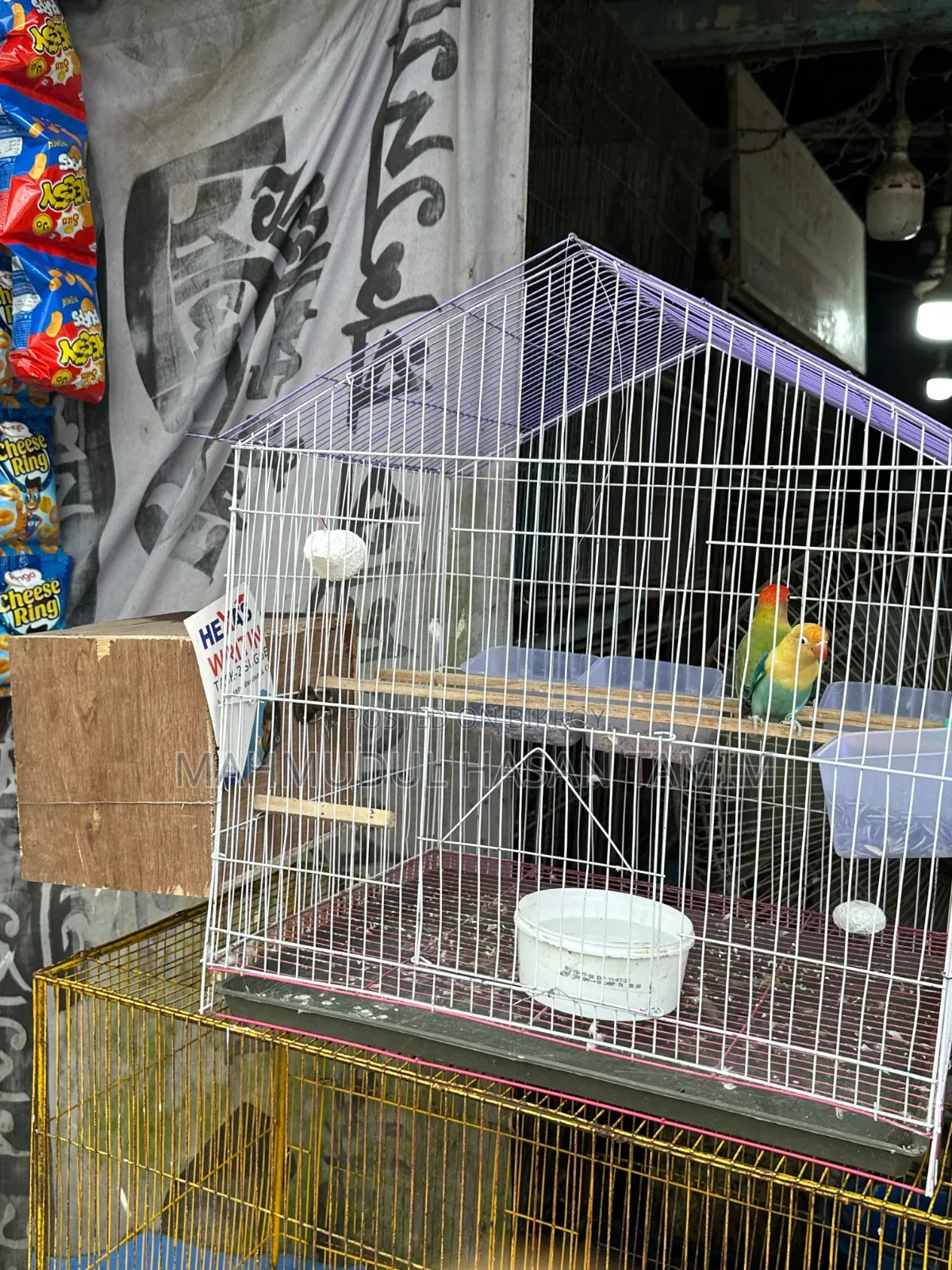 Love Birds