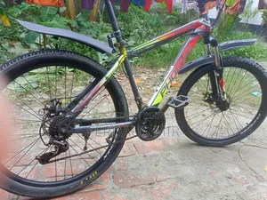 ফিনিক্স সাইকেল সেল