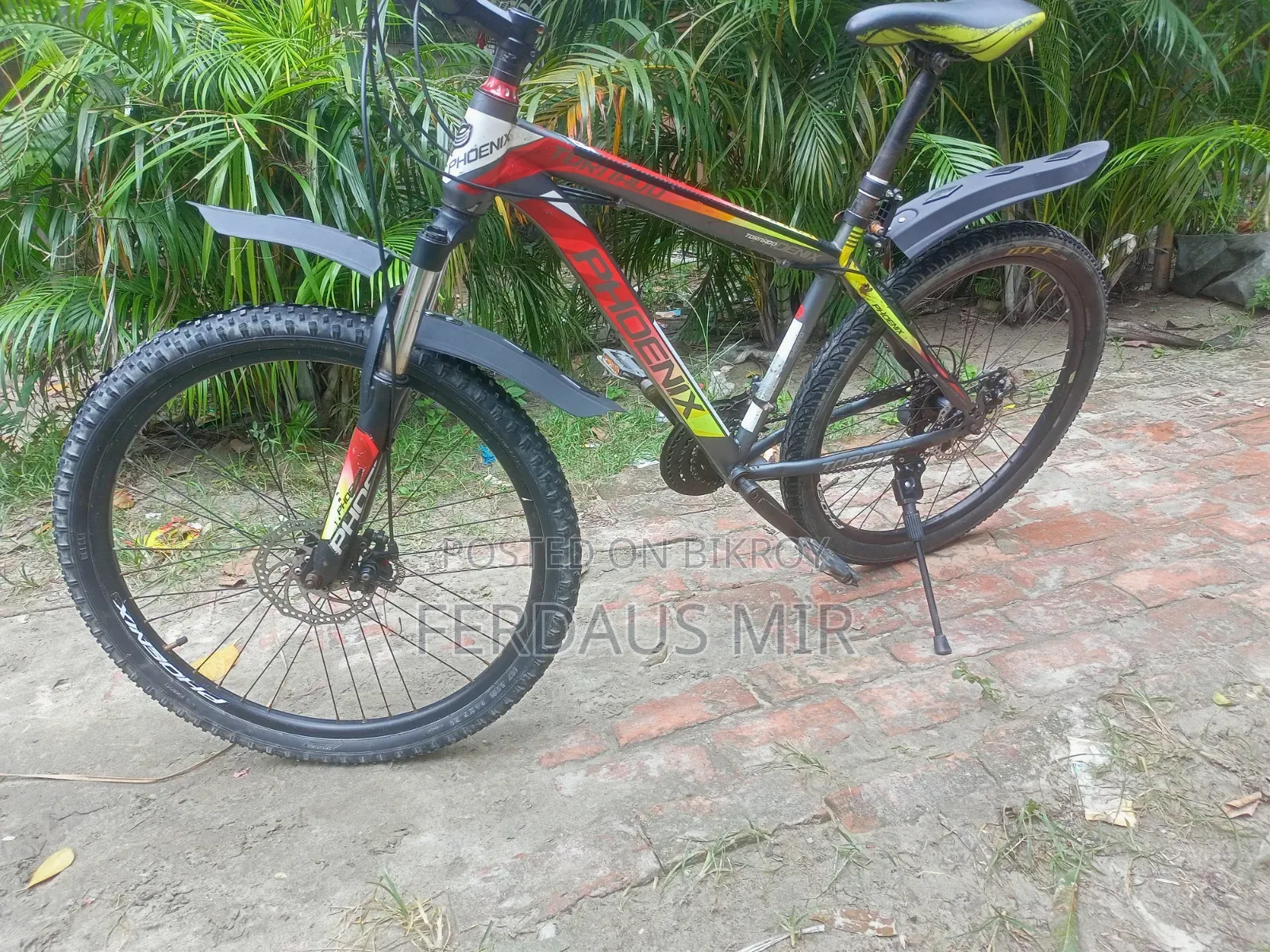 ফিনিক্স সাইকেল সেল
