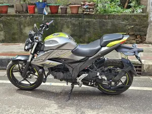 Suzuki 2026 Gray