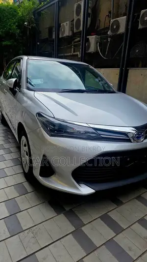 Toyota Axio 2021 Silver