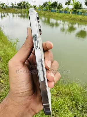 Apple iPhone 14 Pro 128 GB Silver