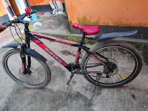 সাইকেল! দুরন্ত বাইসাইকেল