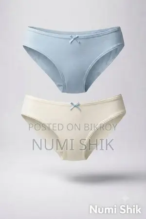 Premium Quality Underwear for Ladies and Women