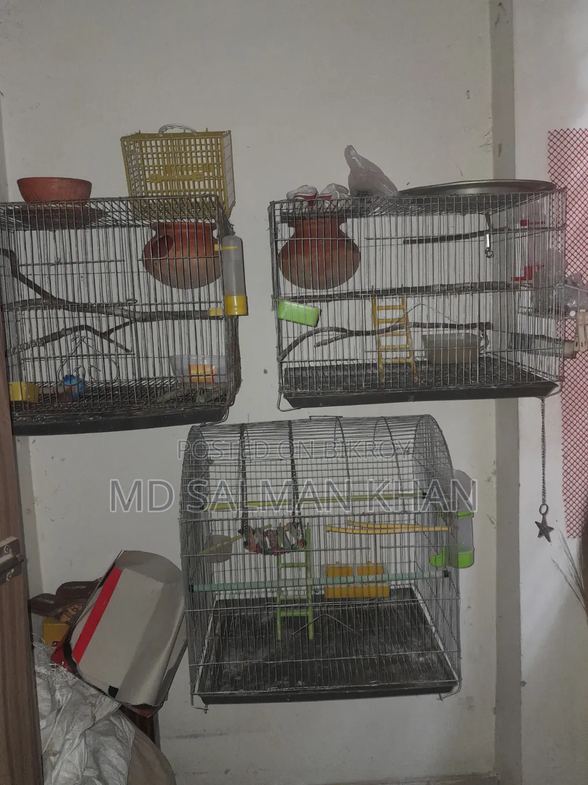 পাখির খাঁচা