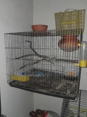 পাখির খাঁচা