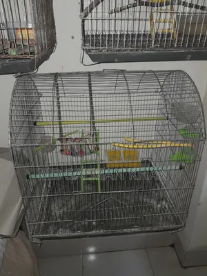 পাখির খাঁচা