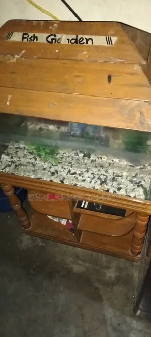 ফিশ অ্যাকুরিয়াম