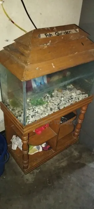 Fish Aquarium