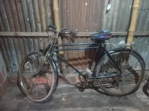 ফিনিক্স বাই সাইকেল