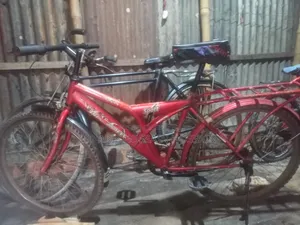ফিনিক্স রেড