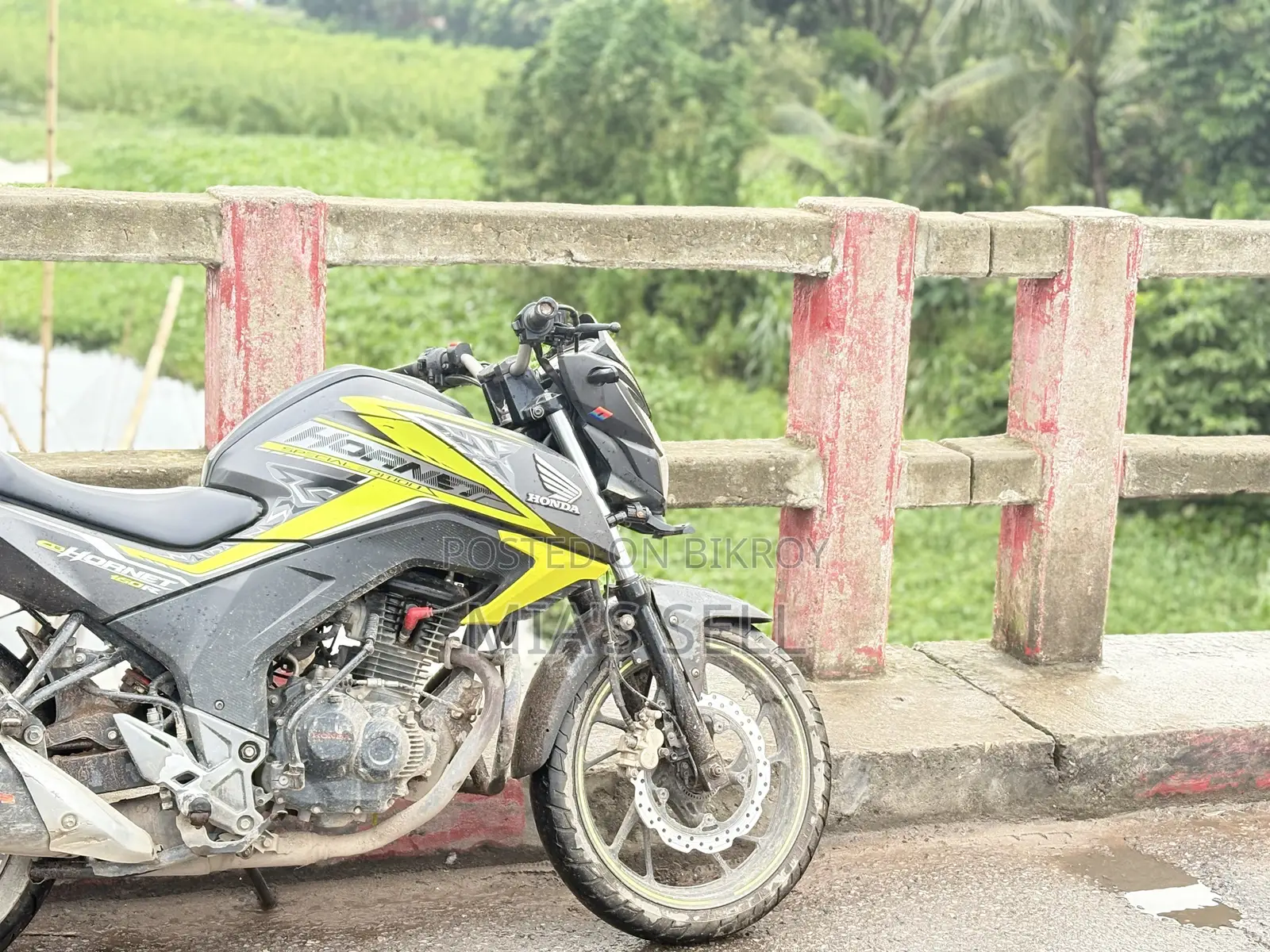 Honda Hornet 2024 Green