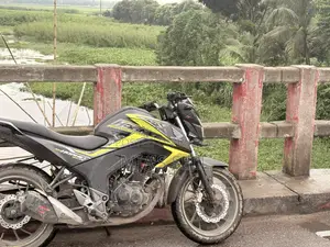 Honda Hornet 2024 Green