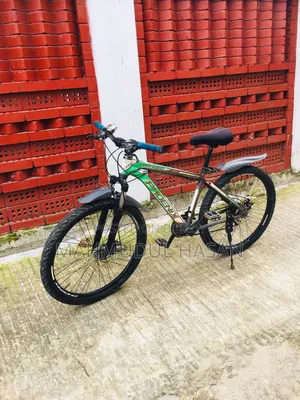 ফিনিক্স গিয়ার সাইকেল