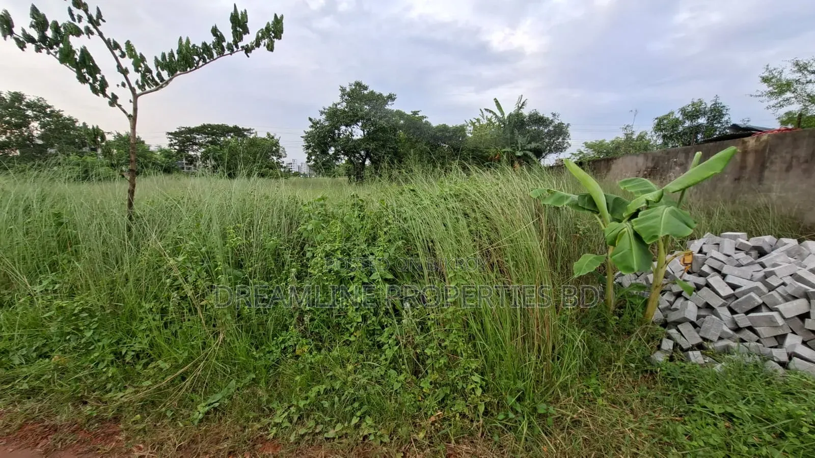 M-Block 5 katha south facing plot for sale Bashundhara R/A