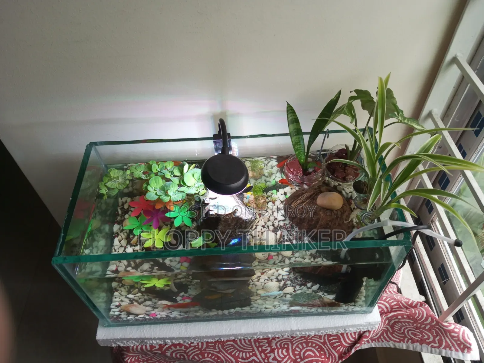 8mm Aquarium Full Setup