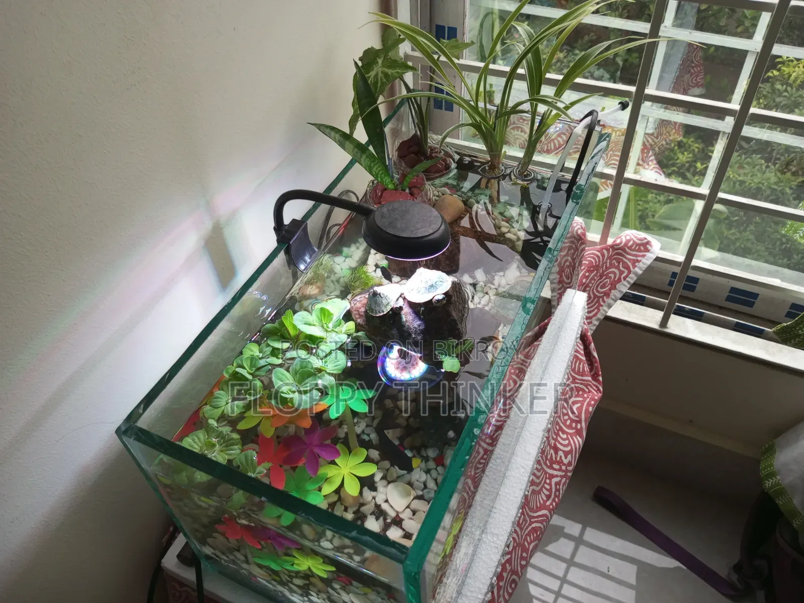 8mm Aquarium Full Setup