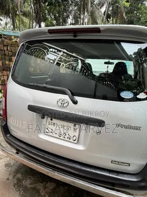 Toyota Probox 2005 Silver