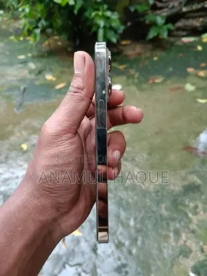 অ্যাপল আইফোন ১৩ প্রো ২৫৬ জিবি গোল্ড