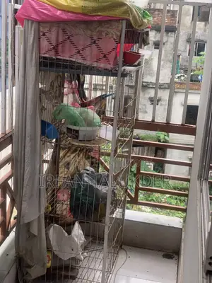 Four-Story Cage for Sale