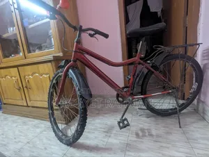 Running Non Gear Bicycle