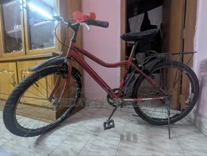 Running Non Gear Bicycle
