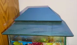 মিনি এ্যাকুরিয়াম