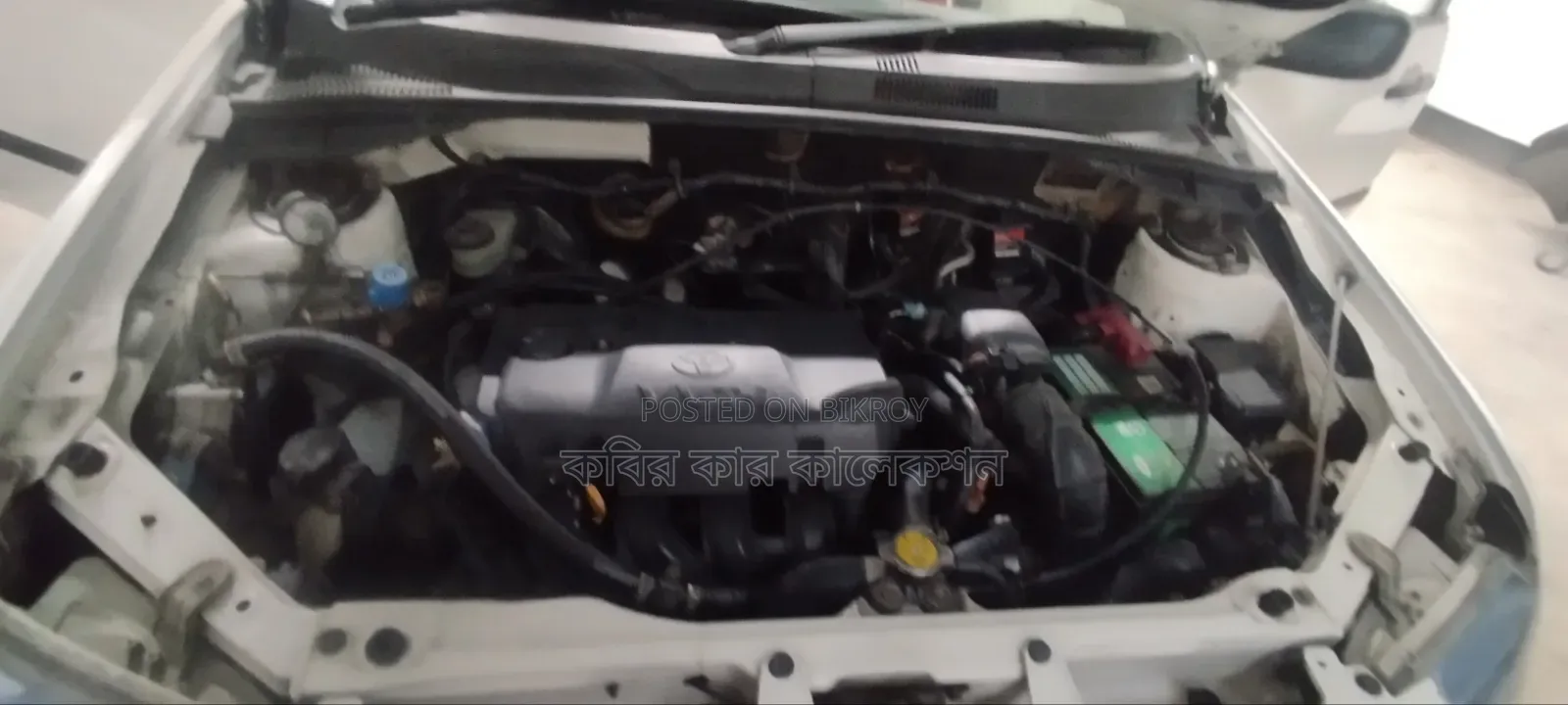 টয়োটা সাকসিড ২০১১ সাদা