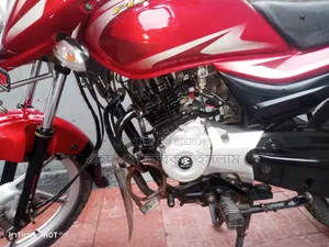 Bajaj Platina 100 2024 Red