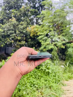 অ্যাপল আইফোন ১৩ প্রো ম্যাক্স ২৫৬ জিবি গ্রিন