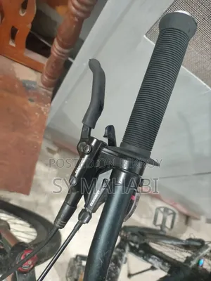 Stunt Cycle