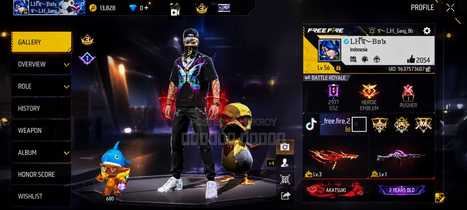 Free Fire ID