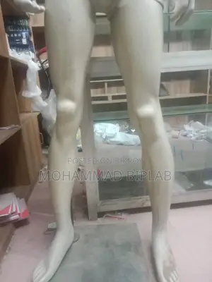 ডিসপ্লে ডল