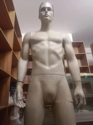 ডিসপ্লে ডল