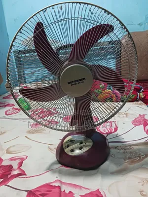 Two Working Rechargeable Fans