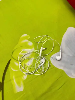 Apple Earphone
