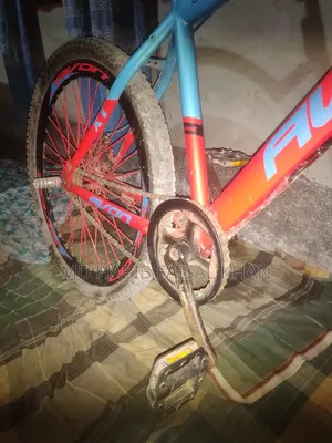 Avon Cycle
