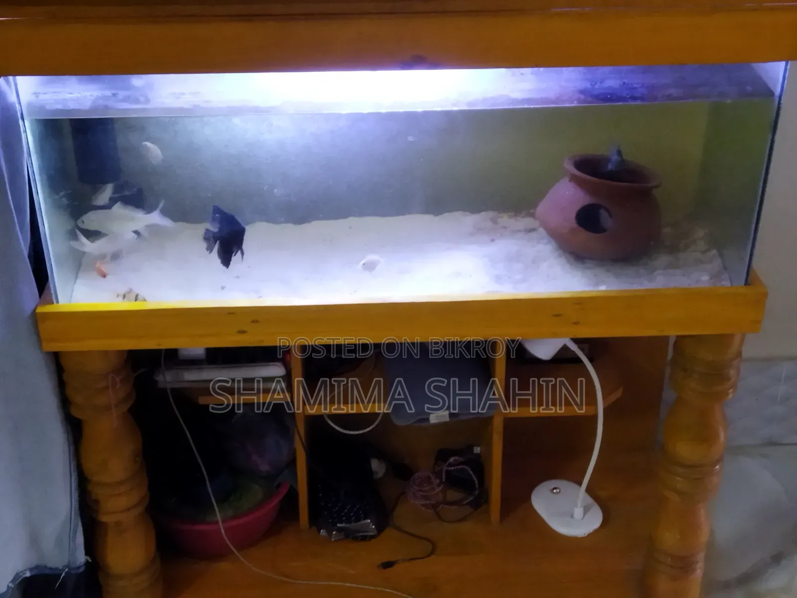 ব্যবহৃত অ্যাকোয়ারিয়াম