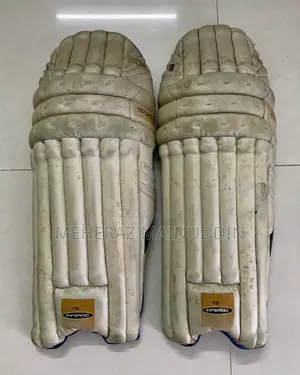 ক্রিকেট কিট