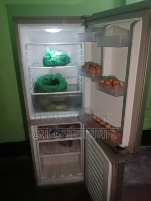 রানিং ফ্রীজ বাসার