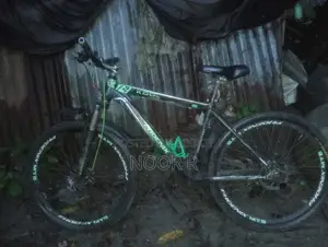 Bicycle for Sell