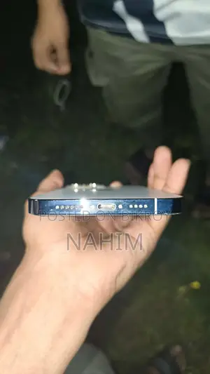 Apple iPhone 13 Pro Max ১২৮ জিবি হোয়াইট