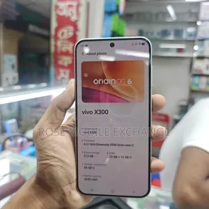 Vivo X300 512 GB