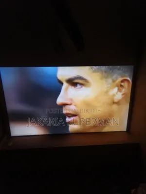 Projector and Screen